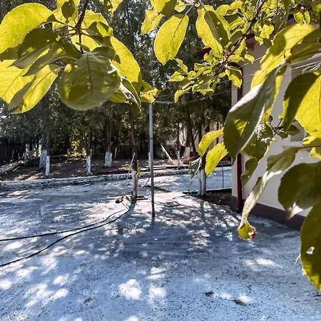Casa Pescarilor Sibioara Navodari Kır Evi Sibioara